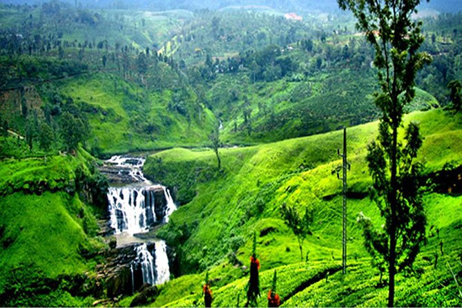 Hill Country - Nuwara Eliya